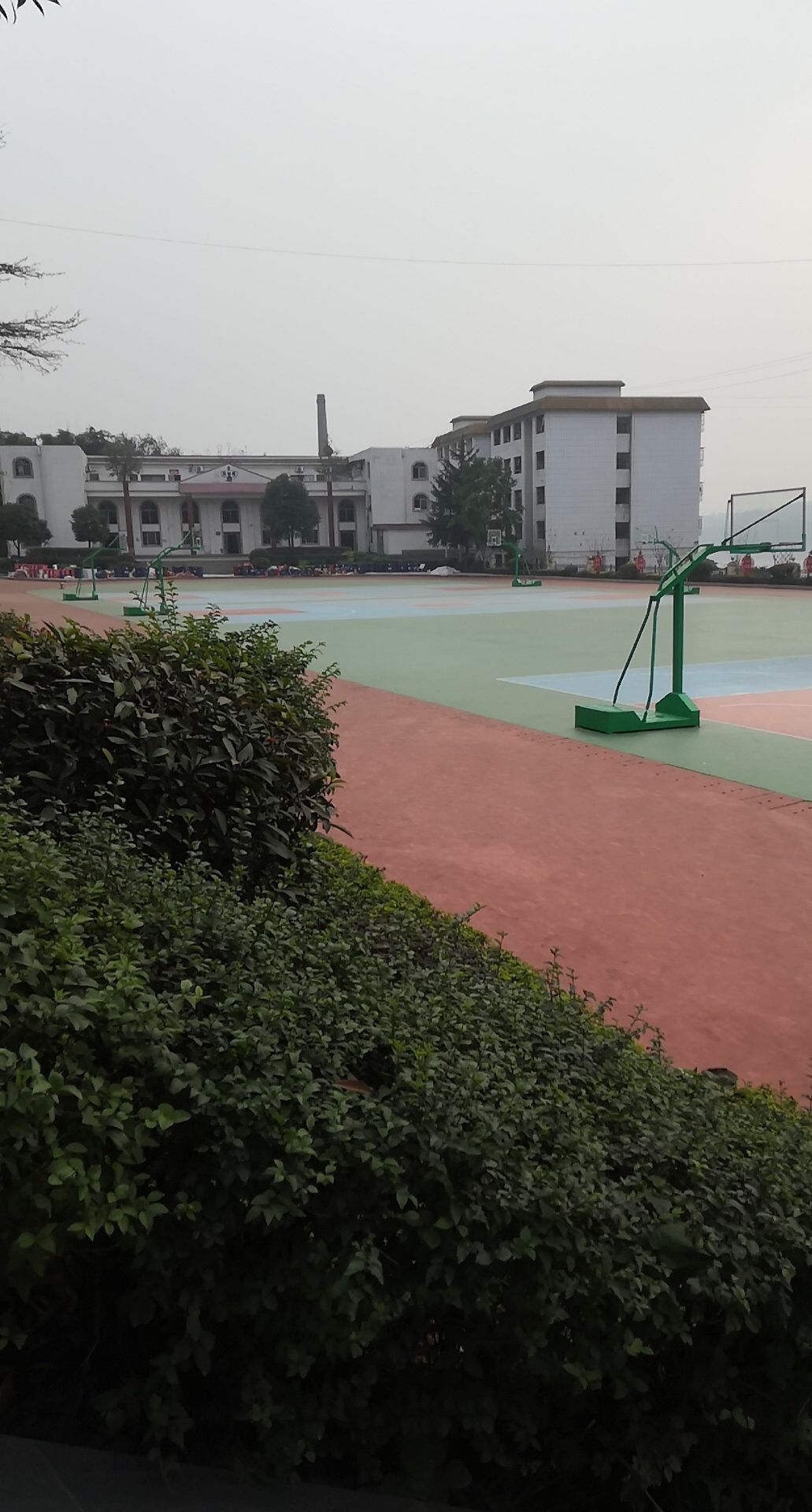 四川省泸州市合江县白沙镇北寨合牛路白沙中学