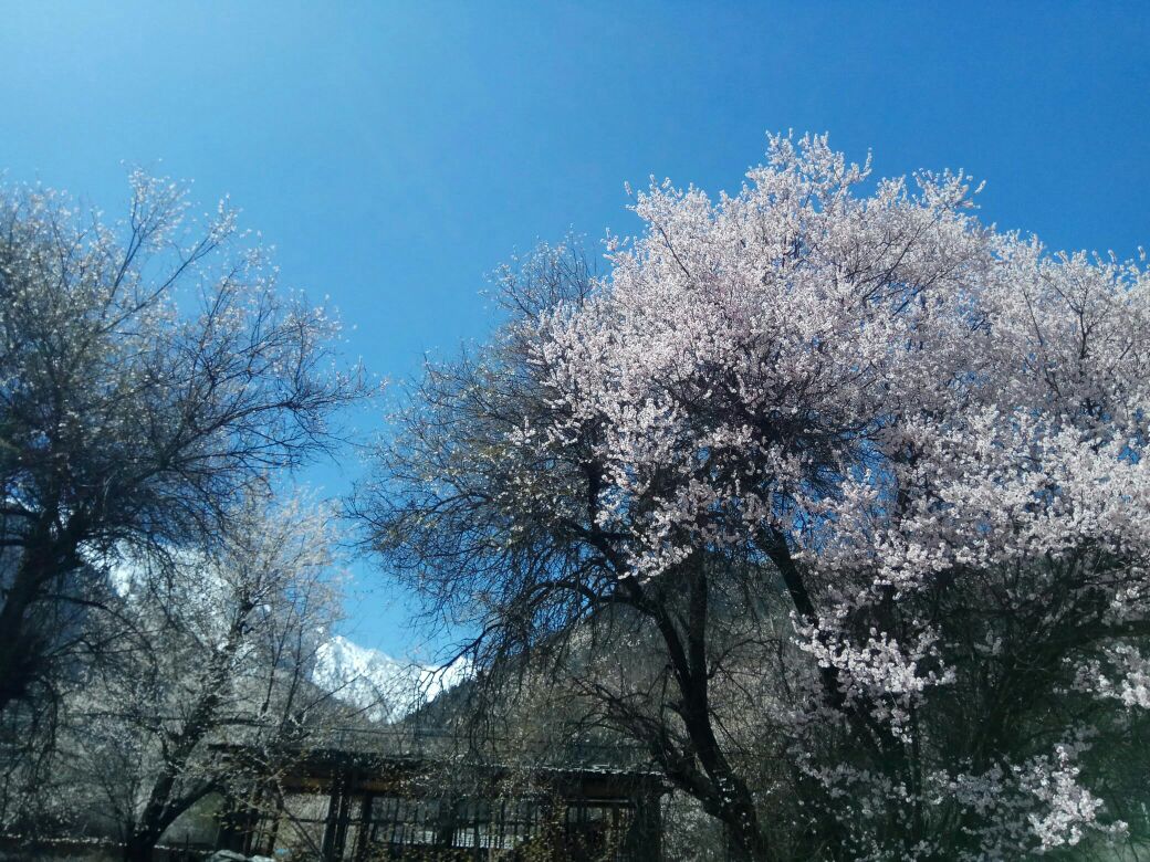 林芝市波密县零二九乡道