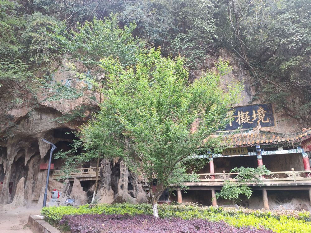 大龙泉