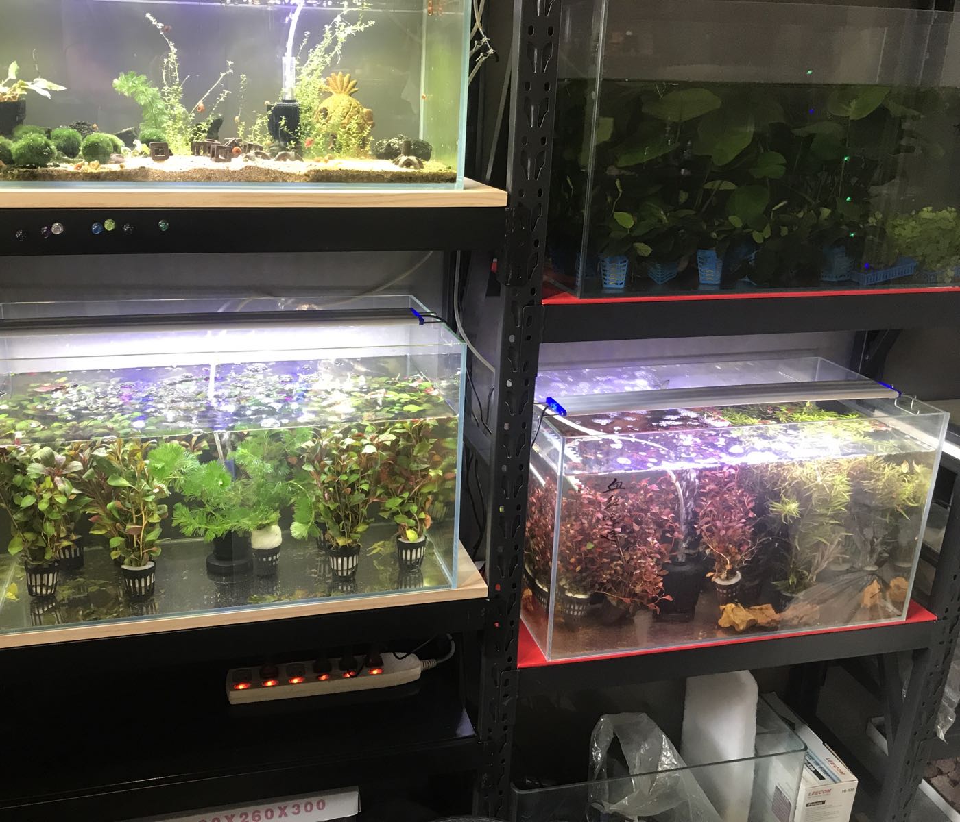 玩家水族店