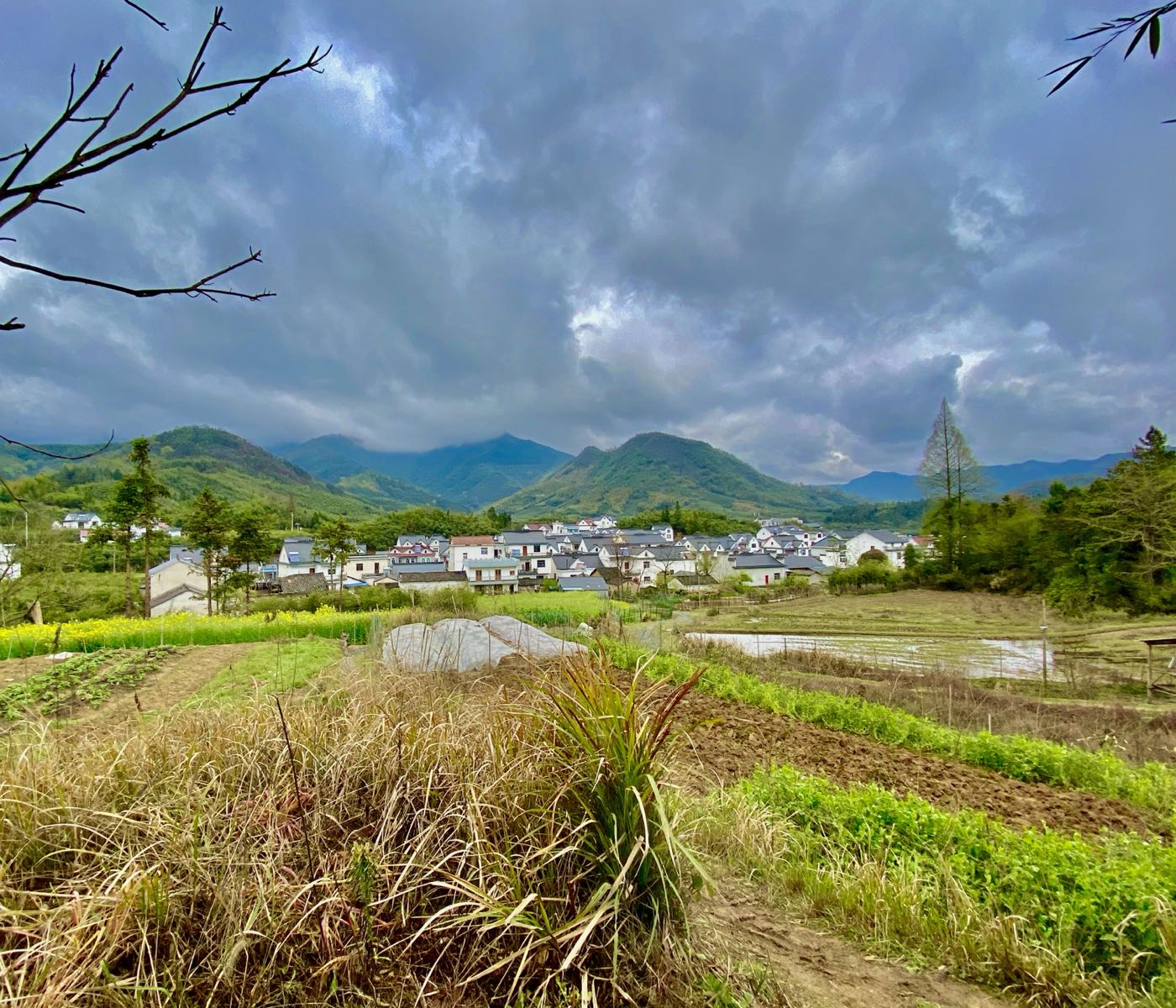 黄山市黄山区