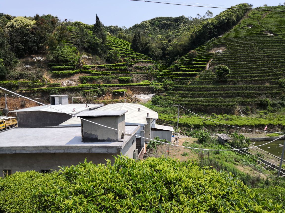 顶寮村
