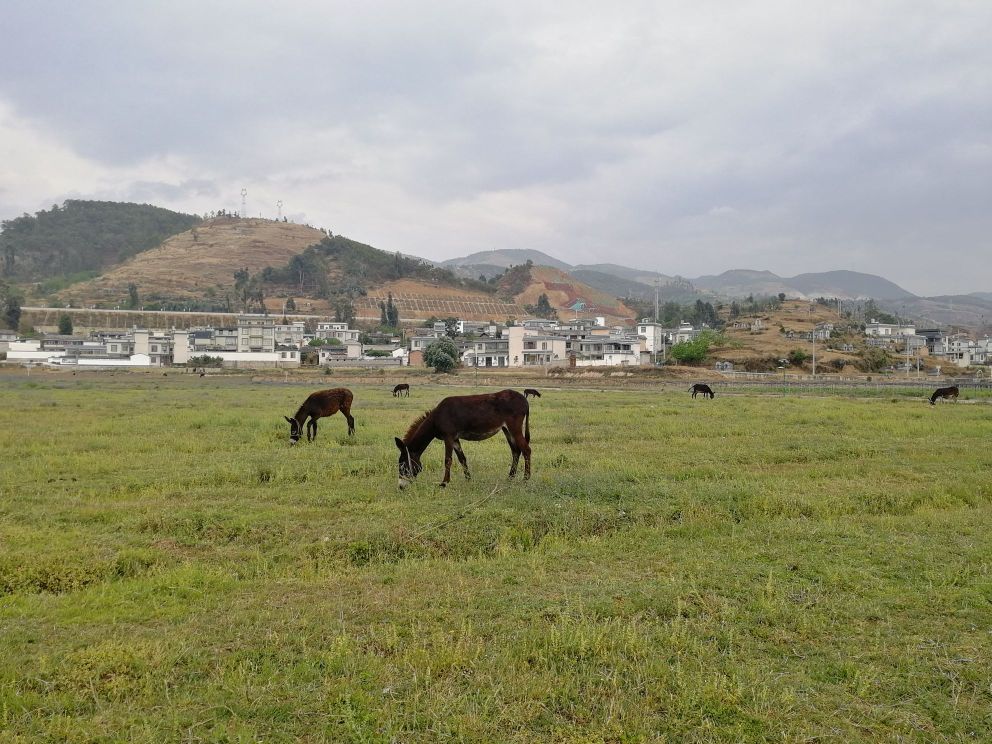 保山市隆阳区