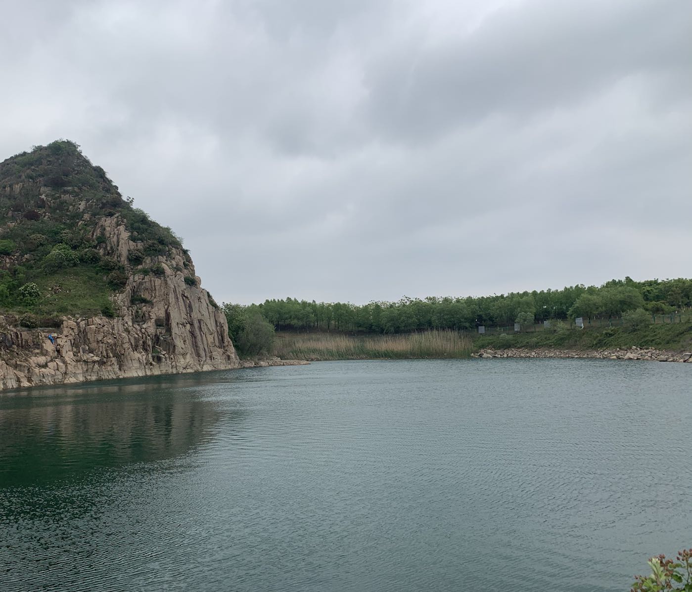 苏州市天平山风景明胜区-劳动模范林